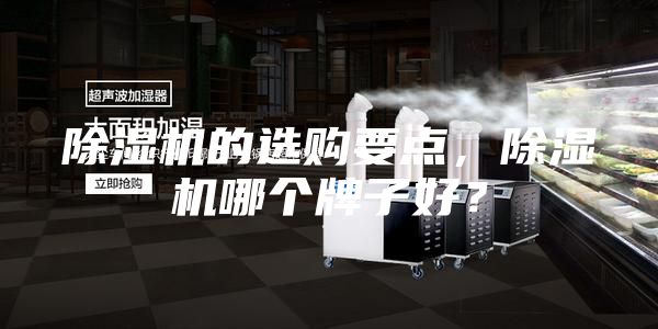 除濕機(jī)的選購(gòu)要點(diǎn)，除濕機(jī)哪個(gè)牌子好？