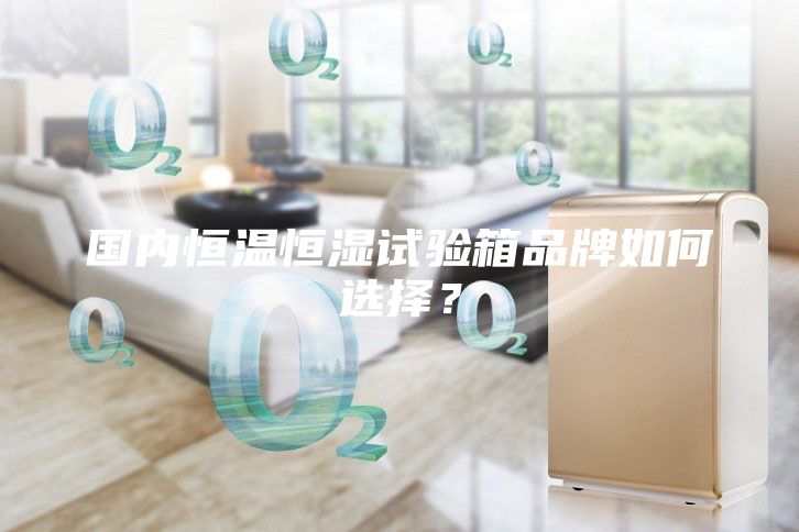國內(nèi)恒溫恒濕試驗(yàn)箱品牌如何選擇？