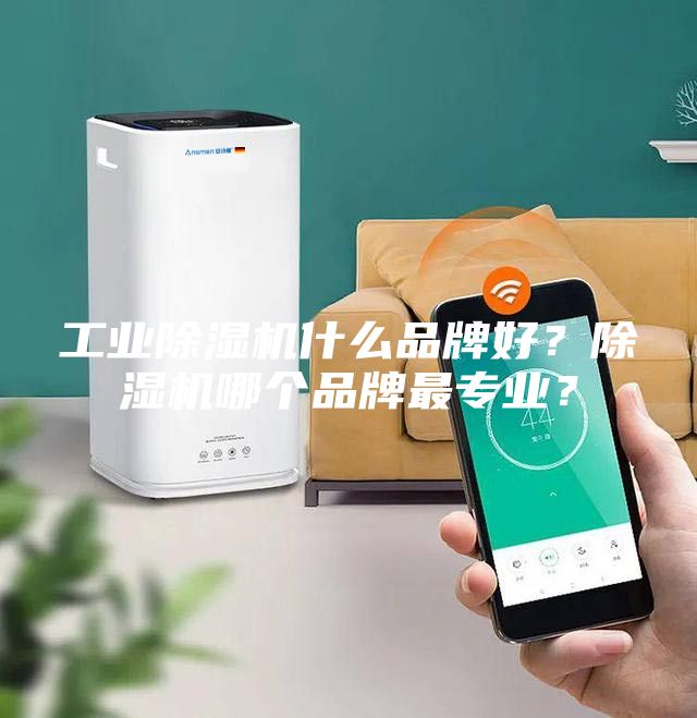 工業(yè)除濕機什么品牌好？除濕機哪個品牌最專業(yè)？
