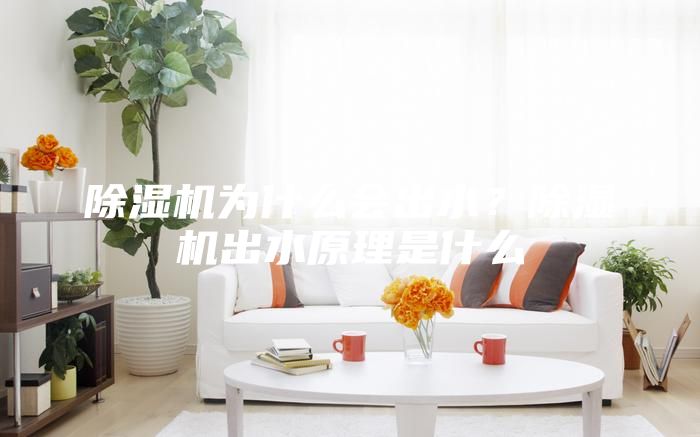 除濕機(jī)為什么會出水？除濕機(jī)出水原理是什么