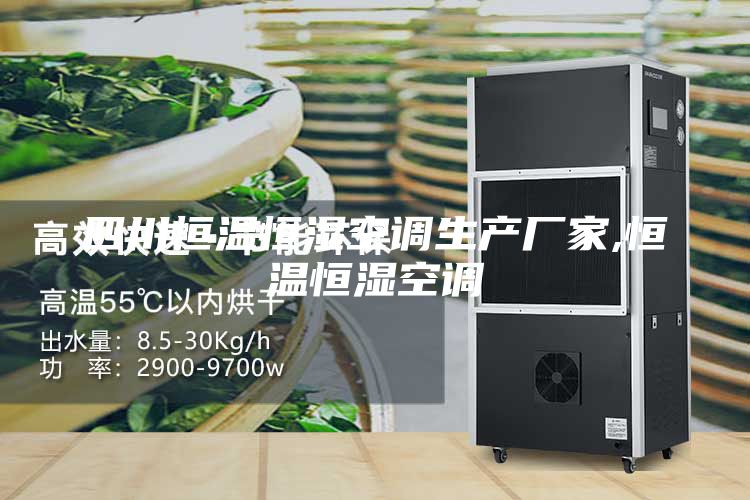四川恒溫恒濕空調(diào)生產(chǎn)廠(chǎng)家,恒溫恒濕空調(diào)