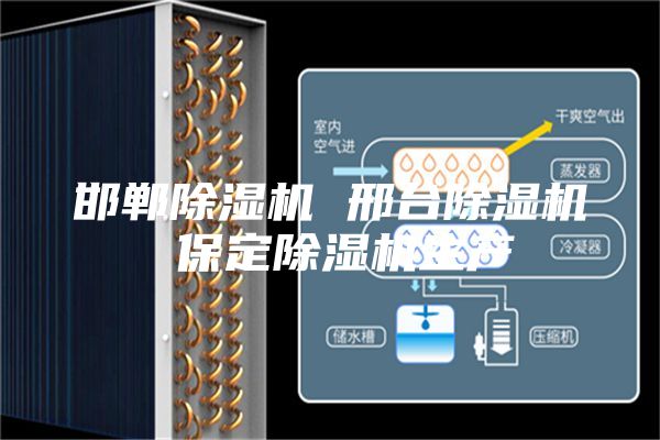 邯鄲除濕機 邢臺除濕機 保定除濕機生產(chǎn)