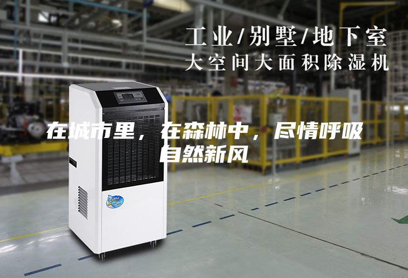 在城市里，在森林中，盡情呼吸自然新風