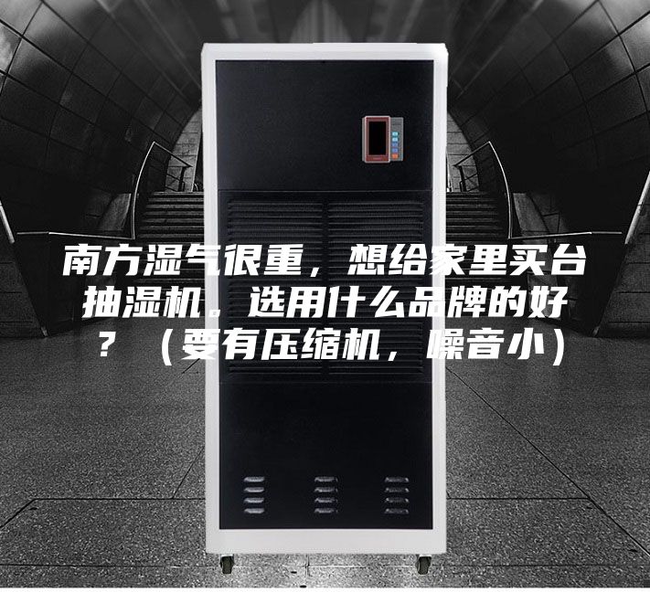 南方濕氣很重，想給家里買(mǎi)臺(tái)抽濕機(jī)。選用什么品牌的好？（要有壓縮機(jī)，噪音?。?/></p>
                            <p style=