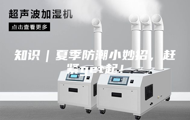 知識(shí)｜夏季防潮小妙招，趕緊get起！