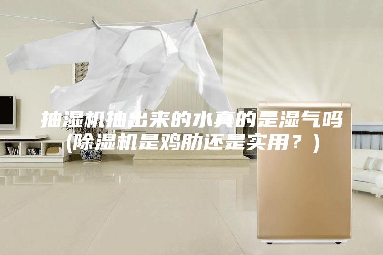 抽濕機(jī)抽出來的水真的是濕氣嗎(除濕機(jī)是雞肋還是實(shí)用？)