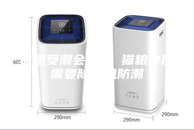 貓糧受潮會(huì)變味 貓糧存放需要除濕機(jī)防潮