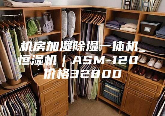 機(jī)房加濕除濕一體機(jī)_恒濕機(jī)|ASM-120 價格32800