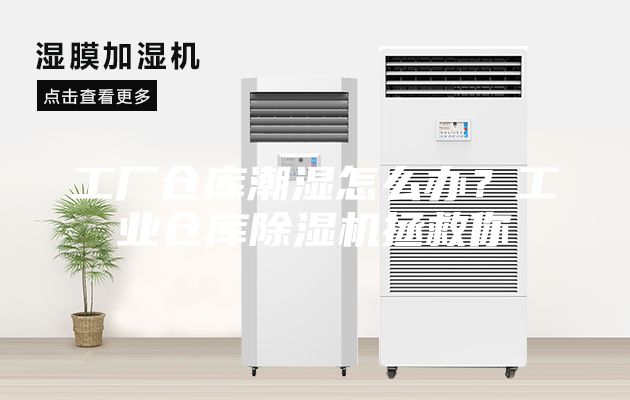 工廠倉庫潮濕怎么辦？工業(yè)倉庫除濕機(jī)拯救你