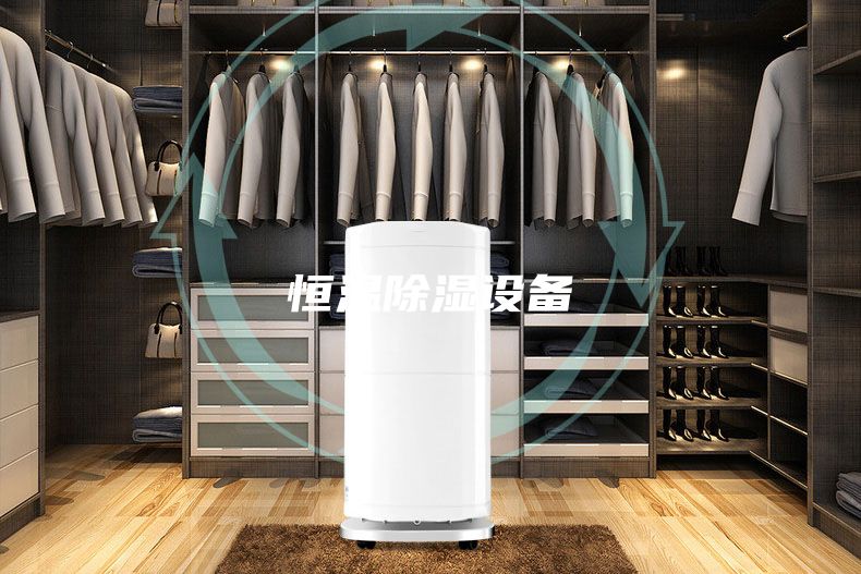 恒溫除濕設(shè)備