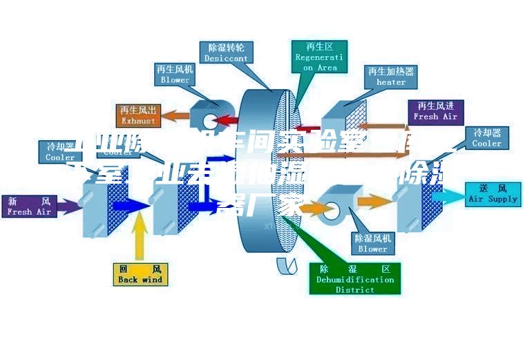 工業(yè)除濕機(jī)車間實(shí)驗(yàn)室倉(cāng)庫(kù)地下室工業(yè)去濕抽濕器工業(yè)除濕器廠家