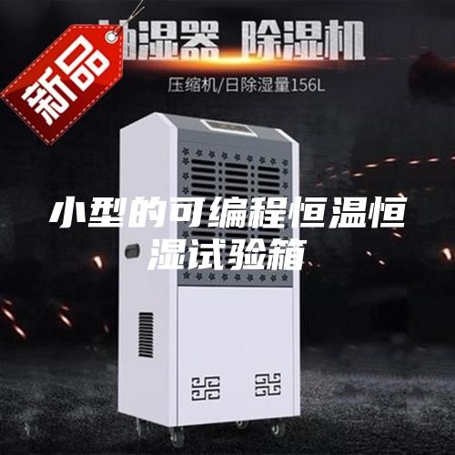 小型的可編程恒溫恒濕試驗(yàn)箱