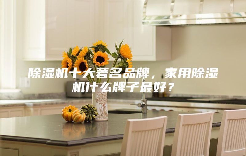 除濕機(jī)十大著名品牌，家用除濕機(jī)什么牌子最好？