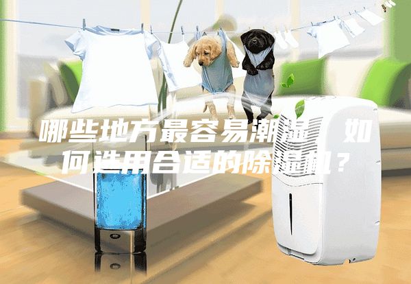 哪些地方最容易潮濕，如何選用合適的除濕機？