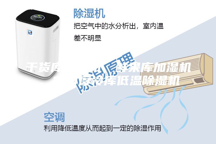 干貨庫(kù)除濕機(jī)，鮮果庫(kù)加濕機(jī)，2-8度冷庫(kù)低溫除濕機(jī)