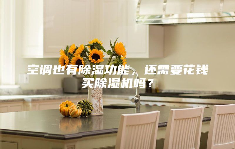 空調也有除濕功能，還需要花錢買除濕機嗎？