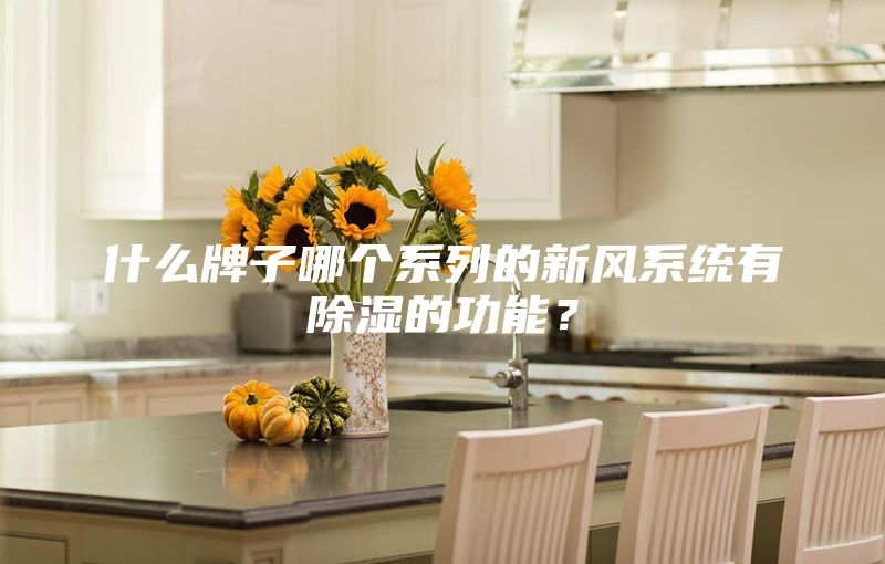 什么牌子哪個系列的新風系統(tǒng)有除濕的功能？