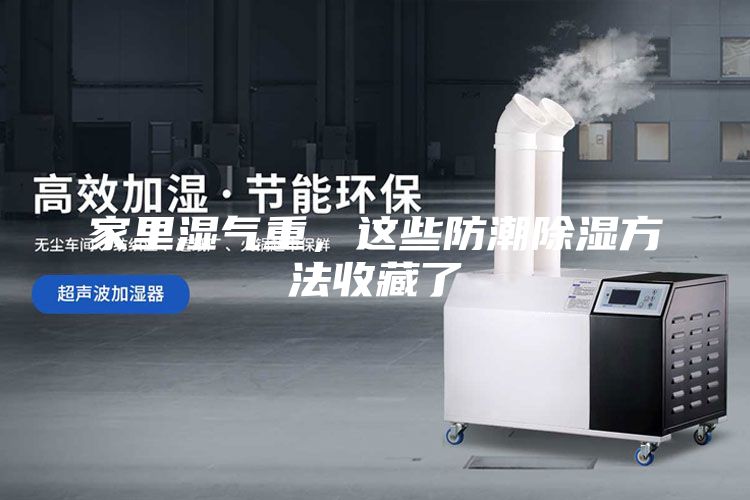 家里濕氣重，這些防潮除濕方法收藏了