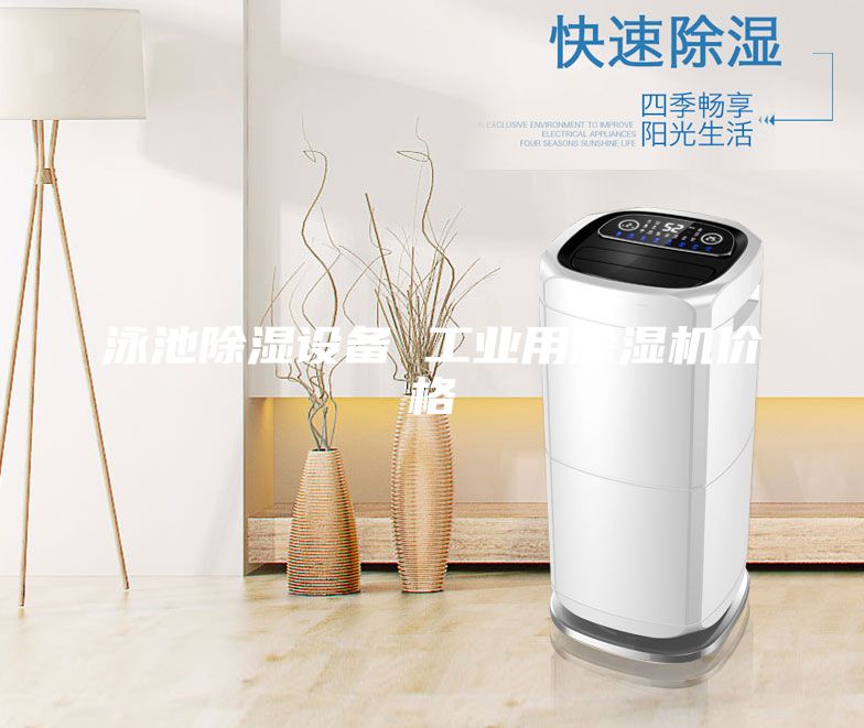 泳池除濕設(shè)備 工業(yè)用除濕機(jī)價格