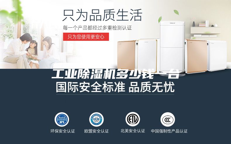 工業(yè)除濕機(jī)多少錢一臺