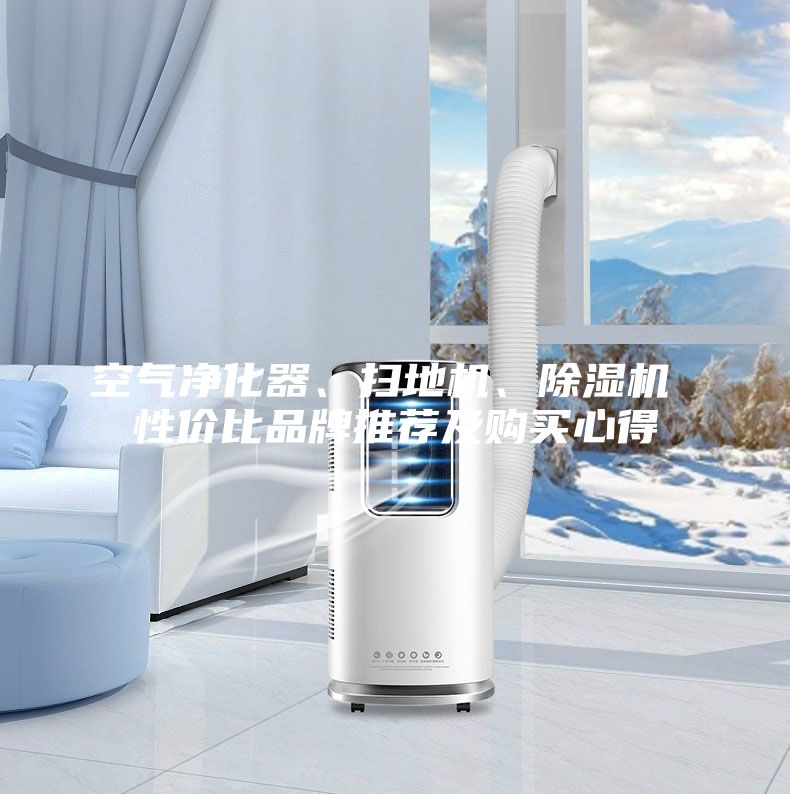 空氣凈化器、掃地機(jī)、除濕機(jī) 性?xún)r(jià)比品牌推薦及購(gòu)買(mǎi)心得