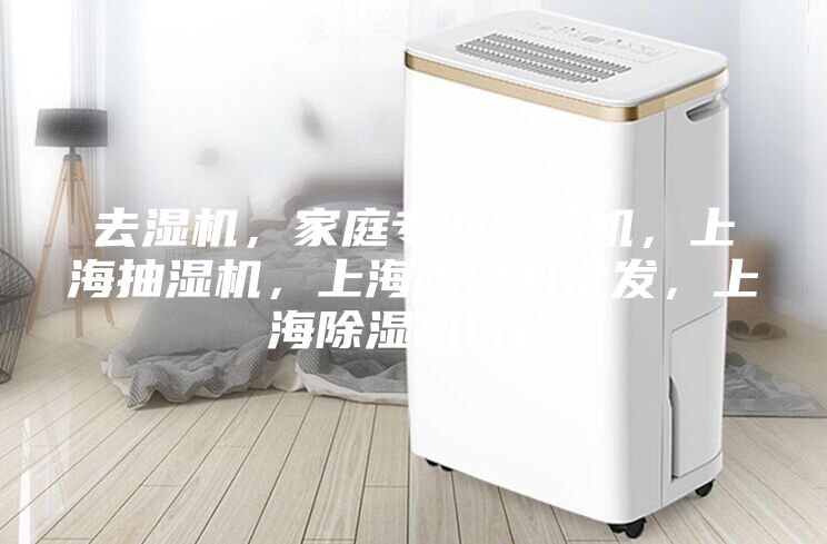 去濕機(jī)，家庭專業(yè)除濕機(jī)，上海抽濕機(jī)，上海除濕機(jī)批發(fā)，上海除濕機(jī)價(jià)錢