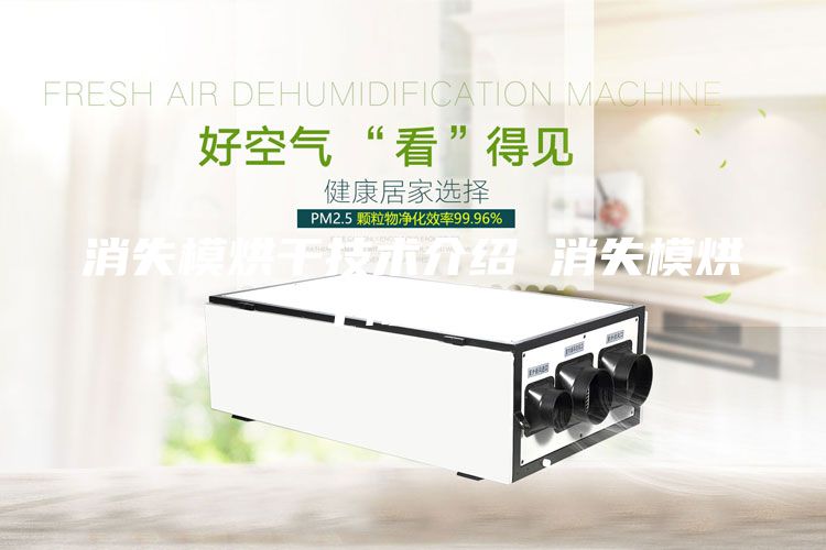 消失模烘干技術(shù)介紹 消失模烘干除濕機(jī)