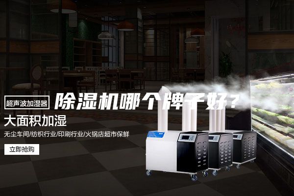 除濕機(jī)哪個(gè)牌子好？
