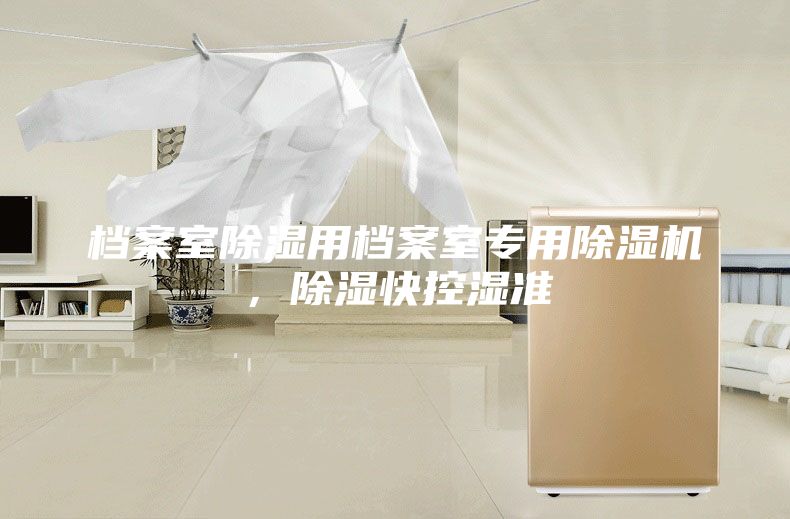 檔案室除濕用檔案室專用除濕機，除濕快控濕準