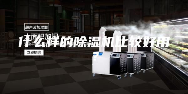 什么樣的除濕機(jī)比較好用？