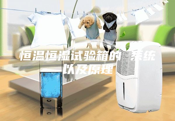 恒溫恒濕試驗(yàn)箱的 系統(tǒng)以及原理
