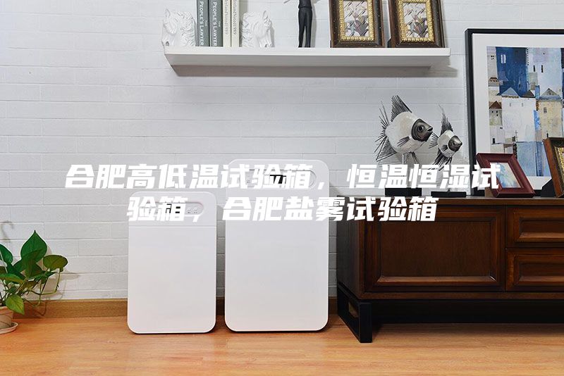 合肥高低溫試驗(yàn)箱，恒溫恒濕試驗(yàn)箱，合肥鹽霧試驗(yàn)箱