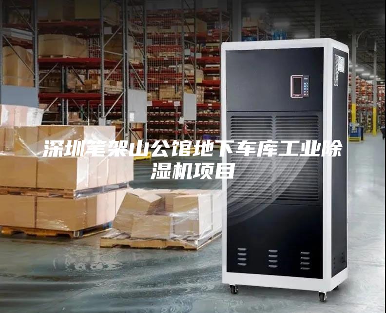 深圳筆架山公館地下車庫工業(yè)除濕機項目