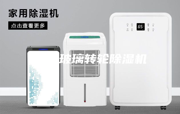 夾層玻璃轉(zhuǎn)輪除濕機(jī)