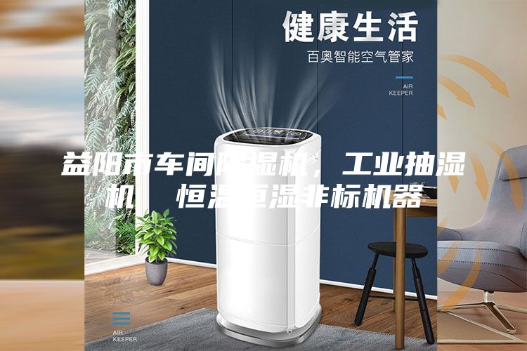 益陽市車間除濕機，工業(yè)抽濕機  恒溫恒濕非標(biāo)機器