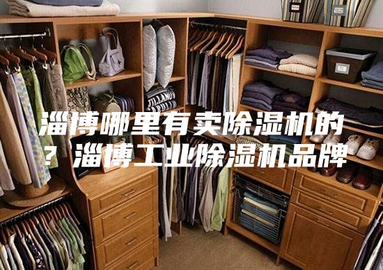 淄博哪里有賣除濕機(jī)的？淄博工業(yè)除濕機(jī)品牌