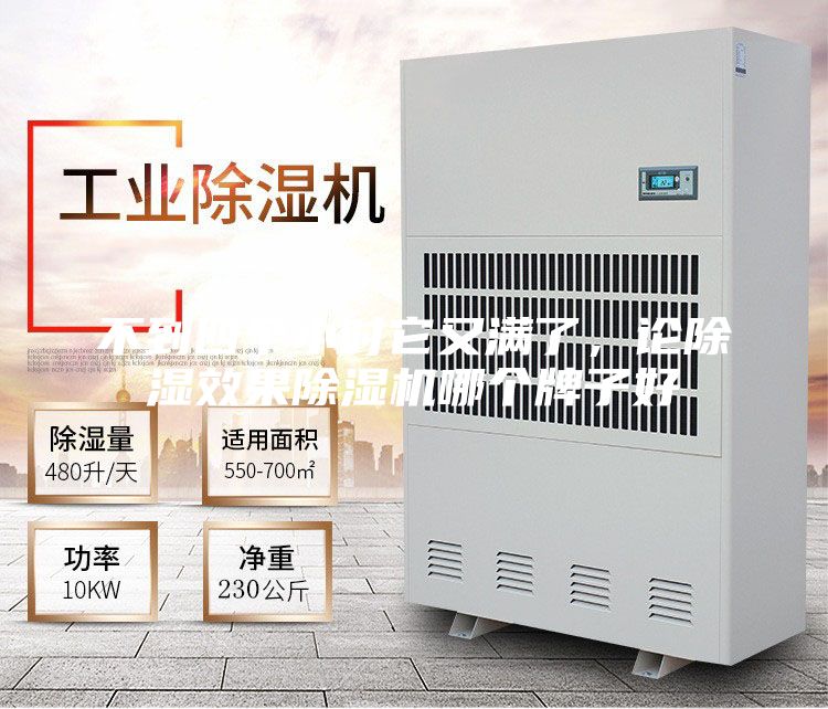 不到四個(gè)小時(shí)它又滿(mǎn)了，論除濕效果除濕機(jī)哪個(gè)牌子好