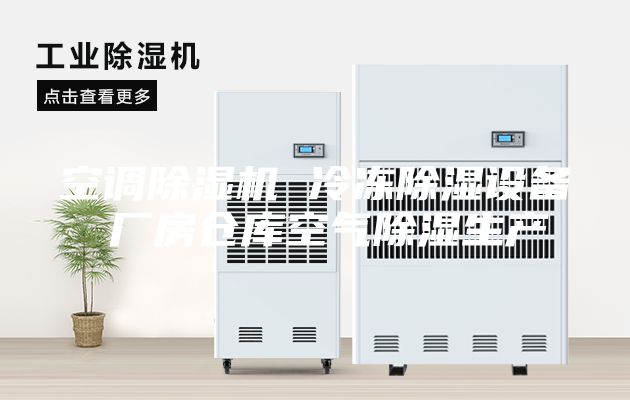 空調(diào)除濕機(jī) 冷凍除濕設(shè)備 廠房倉庫空氣除濕生產(chǎn)