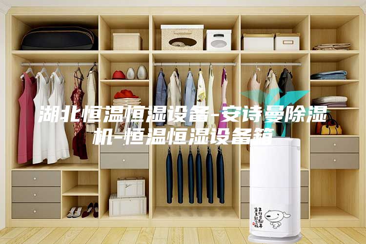 湖北恒溫恒濕設(shè)備-安詩曼除濕機-恒溫恒濕設(shè)備箱