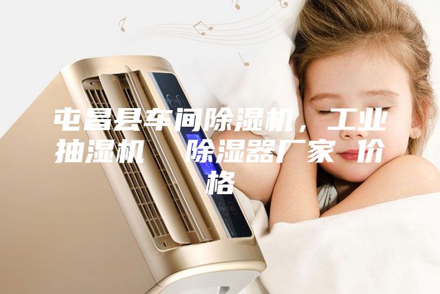 屯昌縣車間除濕機(jī)，工業(yè)抽濕機(jī)  除濕器廠家 價(jià)格
