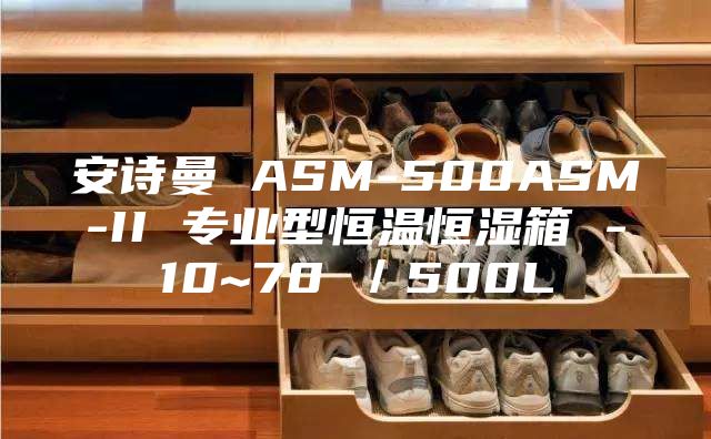安詩(shī)曼 ASM-500ASM-II 專業(yè)型恒溫恒濕箱 -10~70℃／500L