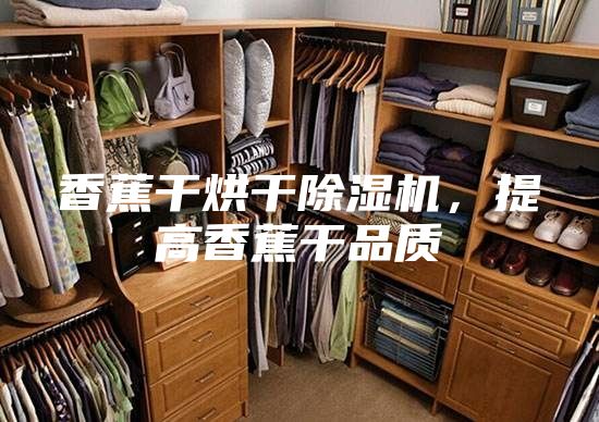 香蕉干烘干除濕機(jī)，提高香蕉干品質(zhì)