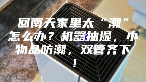 回南天家里太“潮”怎么辦？機(jī)器抽濕，小物品防潮，雙管齊下！