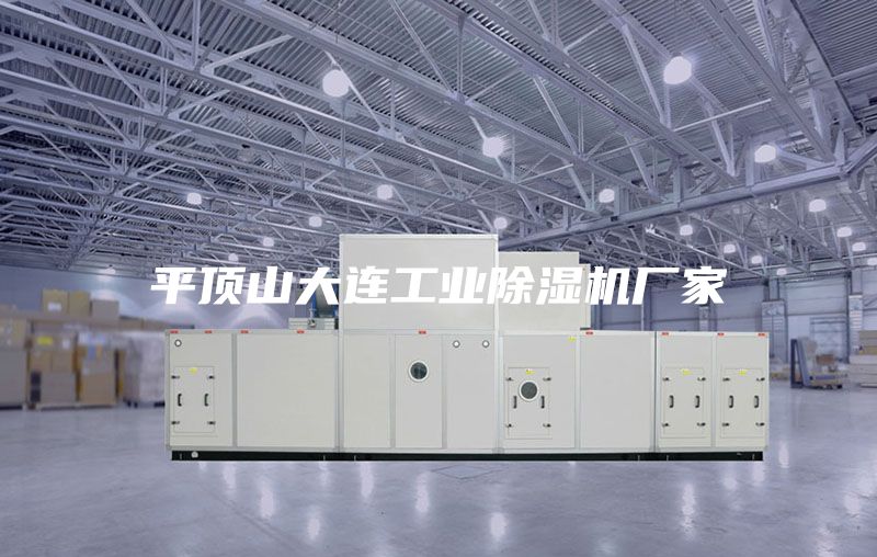 平頂山大連工業(yè)除濕機(jī)廠家