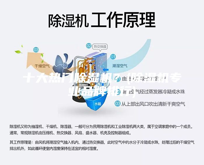 十大熱門除濕機(jī)？(除濕機(jī)專業(yè)品牌排行)