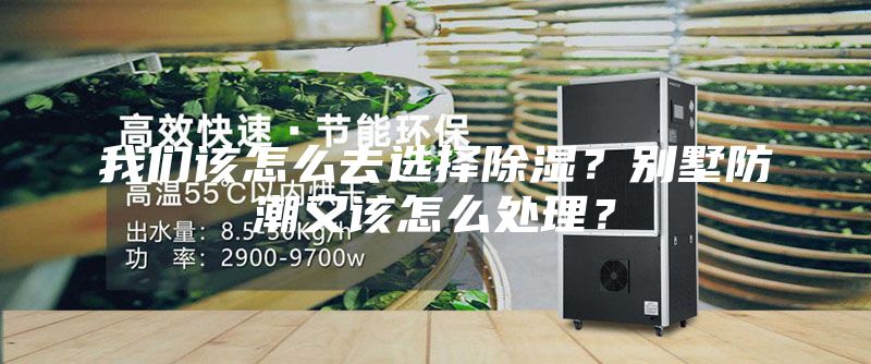 我們?cè)撛趺慈ミx擇除濕？別墅防潮又該怎么處理？