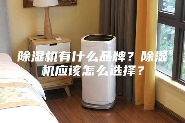 除濕機有什么品牌？除濕機應該怎么選擇？