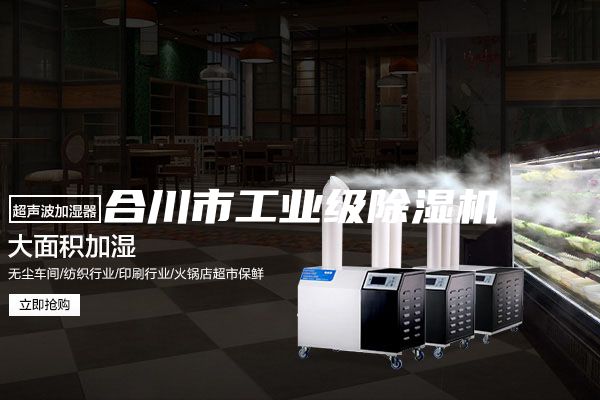 合川市工業(yè)級除濕機(jī)