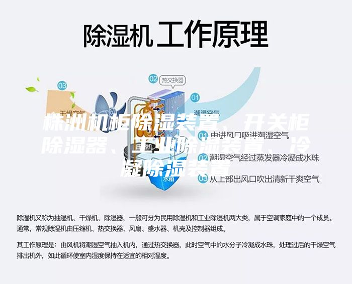 株洲機(jī)柜除濕裝置、開關(guān)柜除濕器、工業(yè)除濕裝置、冷凝除濕裝置