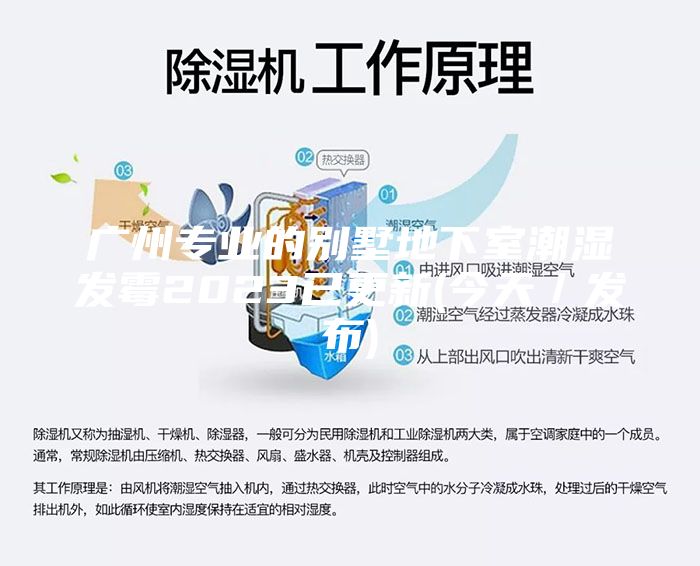 廣州專(zhuān)業(yè)的別墅地下室潮濕發(fā)霉2023已更新(今天/發(fā)布)